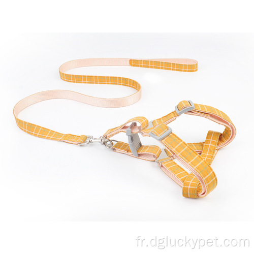 Corde de traction de chien neuve